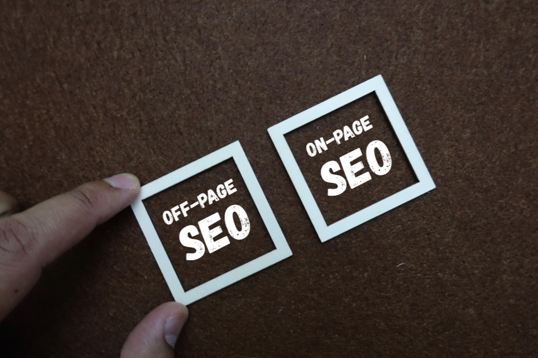 Shane Arts On Page and Off Page SEO