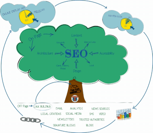 SEO 1 Shane Arts Organic and Paid SEO